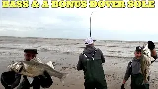 BASS FISHING | FISH A CAST WHILE WE COLLECT SOME BAITS | PB DOVER SOLE | SEA FISHING UK