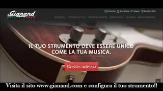Gianand Guitar Works | Zeta - B Custom | Nick Lucchesi