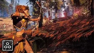 Horizon Zero Dawn — Охотничьи угодья Нора (Руководство по трофеям Blazing Suns at all Grounds)