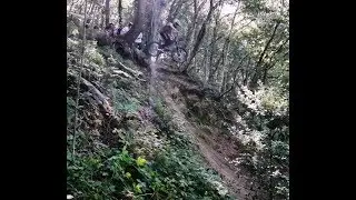 Raw - Ercall Freeride - Big Hardtail hucks