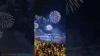Budapest Fireworks 2023 #budapest #fireworks #shorts
