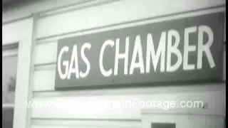 Fort Jay New York - Gas Mask tests 1941 archival stock footage