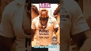 Monkey ki wife ne manga kabutar ka dhoodh #viral #ai #short #monkey #wife