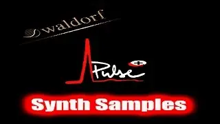 Waldorf Pulse Plus Synth Samples