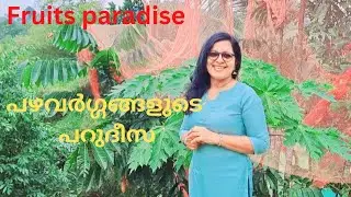 മനോഹരമായ ഫ്രൂട്ട്സ് ഗാർഡനിലേക്ക് ഒരു യാത്ര(A visit to a beautiful fruits garden)