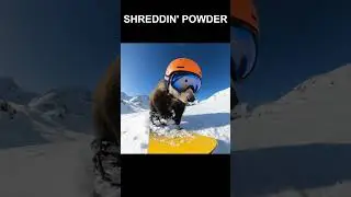 Shreddin' Powder &ndash; Savage on the Slopes #snowboarding #staysavage #hyperrealistic #animals