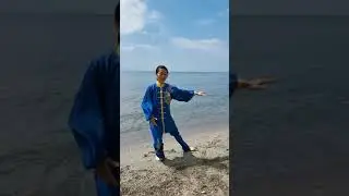 Taiji = Tai-Chi, Forme 24 Yang