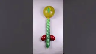 Beautiful Cactus Balloon Popping Reverse ASMR