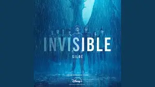 Invisible