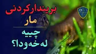 بریندارکردنی مار چییە لەخەودا؟