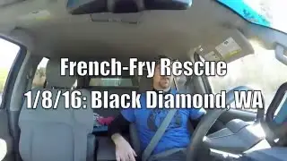 French Fry Rescued by Shaun from 