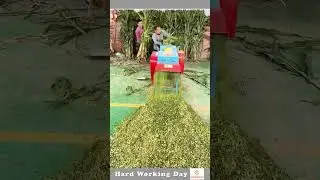 The Process Of Crushing Grass