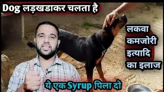 Dog 🐕 लड़खड़ाकर चलता है Lamness,लकवा कमजोरी इलाज इस एक दवा से ye Syrup Pila do