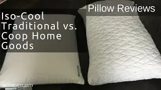 Pillow Reviews: Iso-Cool Traditional vs.  Coop Home Goods