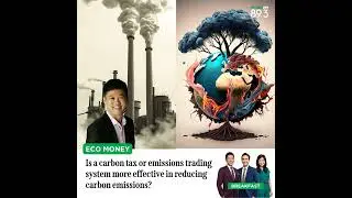 Eco Money: Is a carbon tax or emissions trading system more effective in reducing carbon emissions?