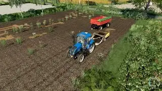 FS19 Starowies Timelapse #2 - Glorious potatoes!
