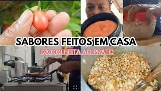 COMPREI UMA POMADA MILAGROSA CONTRA DOR MUSCULAR// FIZ UM DELICIOSO ALMOÇO// ROTINA