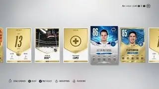 NHL 18 HUT PACK OPENING - I Pulled A Malkin & Evolution Auston Matthews!!! (REACTIONS!)