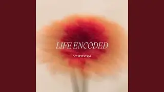 Life Encoded