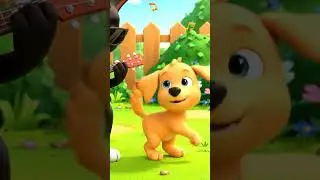 Jammin' Friends! Cat Guitarist & Dog Dancer! | Cutest Animal Concert Ever! | Dogs Can Dance!