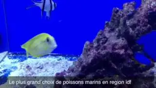 Stock all marine