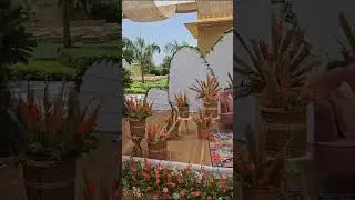 #mehndi #mehndidecor #flowers #flowerdecoration #reels #decor #event #party #bride #groom #entry