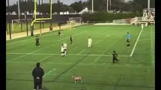 No DNA test needed 🔥Insane free kick goal by Ciro Messi. 🇦🇷