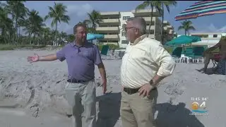 South Florida Beaches Are 