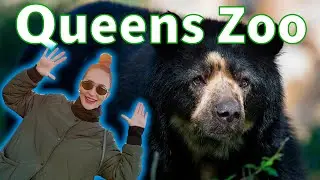 NEW YORK NEW YORK/QUEENS ZOO/Зоопарк в Куинсе