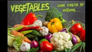 Learn English with pictures best photo dictionary ( vegetables photo dictionary) @faridullaharabTurkish