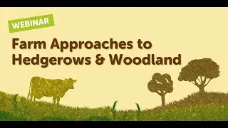 Farm Approaches to Hedgerows and Woodland