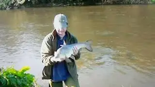 River irwell 13lb 3oz barbel 2007.