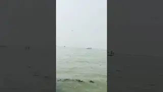 #viralshort #crab #watercreatures #trending #viralvideo 🦞🦀🦀🦀🐙🪼🦢🪿
