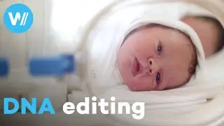 Genetic engineering can accelerate evolution and save the planet | The Future Is Here (6/6)