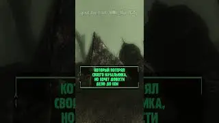 СЕКРЕТНЫЙ СЕКРЕТ FALLOUT 3 #fallout #fallout3 #секреты #факты #авызнали #авы