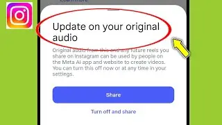instagram Reels | Update on your original audio Settings ?
