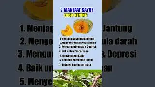 Manfaat Labu Kuning #trending #short #kesehatan