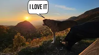 I Met a Dog and Watched the Most Beautiful Sunset Ever | European Mountains