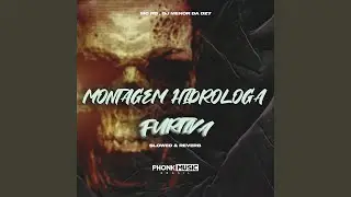 Montagem Hidr&oacute;loga Furtiva