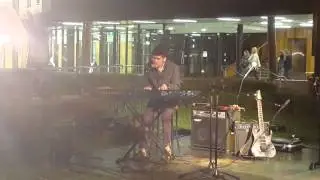 Yellow Flicker Beat (UWSMS Twilight 2015)