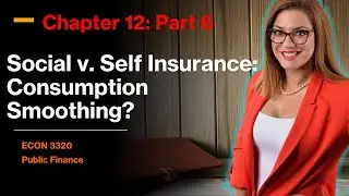 Consumption Smoothing? Social v. Self Insurance -  Chapter 12 Part 6