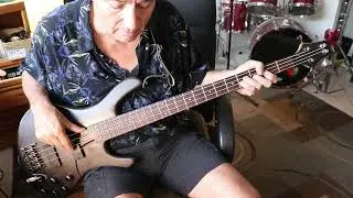 Psychotic Reaction (Bass Cover) Count Five