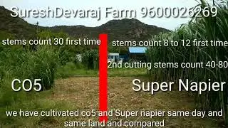 CO5 vs Super napier - Call: 9600026269