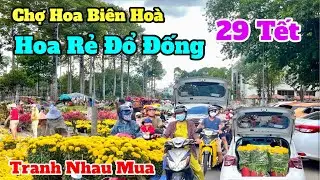 Hoa RẺ đổ đống tại chợ hoa bi&ecirc;n ho&agrave; 29 tết 2026