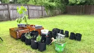 Flourish Gardening & Life Journey for Busy Moms