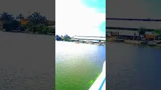 #river #beach #auto #new #viral #trending #forest #fish #ship #shorts #games #environment #status