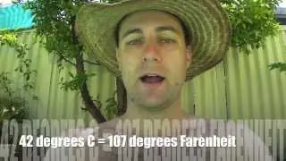 42 degrees C (107 farenheit) in Queensland, Australia
