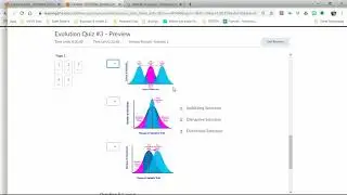 Evolution Quiz #5 help 2021