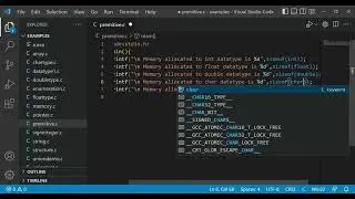 Memory allocation to primary data type in