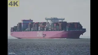 ONE FALCON - Shipspotting Germany 🇩🇪 IMO 9741425 - River Elbe near City Otterndorf - 4K VIDEO
